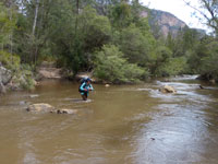 Dorine on the 1st Wolgan River crossing