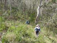 Off track and climbing...