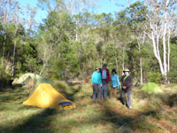 Ready for the Totem Pole