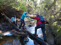Crossing Annie Rowan Creek
