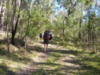 Heading for Newnes