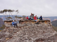 Morning Teas on Yileen Spur