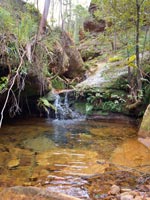 Cascade in Yileen Canyon