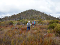 Approaching Liversidge Hill