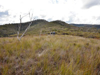 Returning along Birrabang Ridge