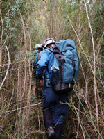 Crossing Birrabang Creek