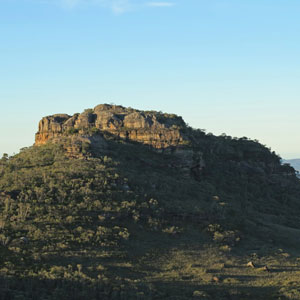 Venus Tor Venus Tor