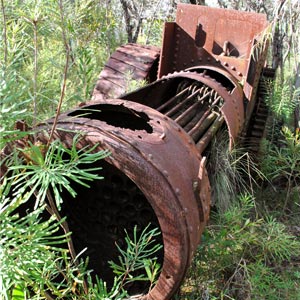 Wallace Engine relic